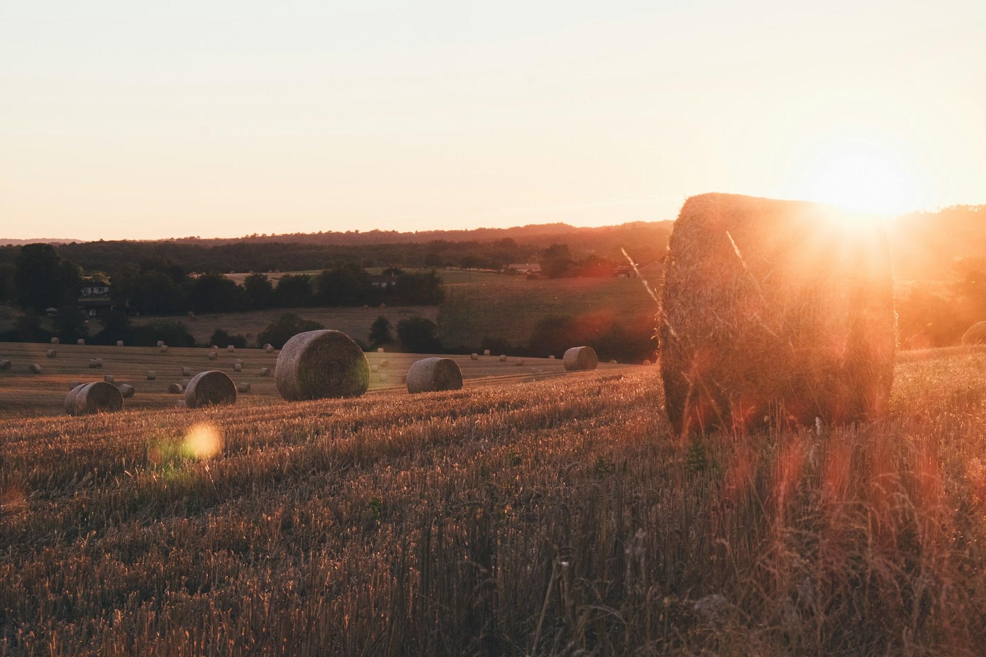 6 conseils de voyage durable pour les gourmands en France